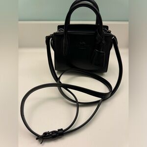 Coach Andrea Mini Carryall